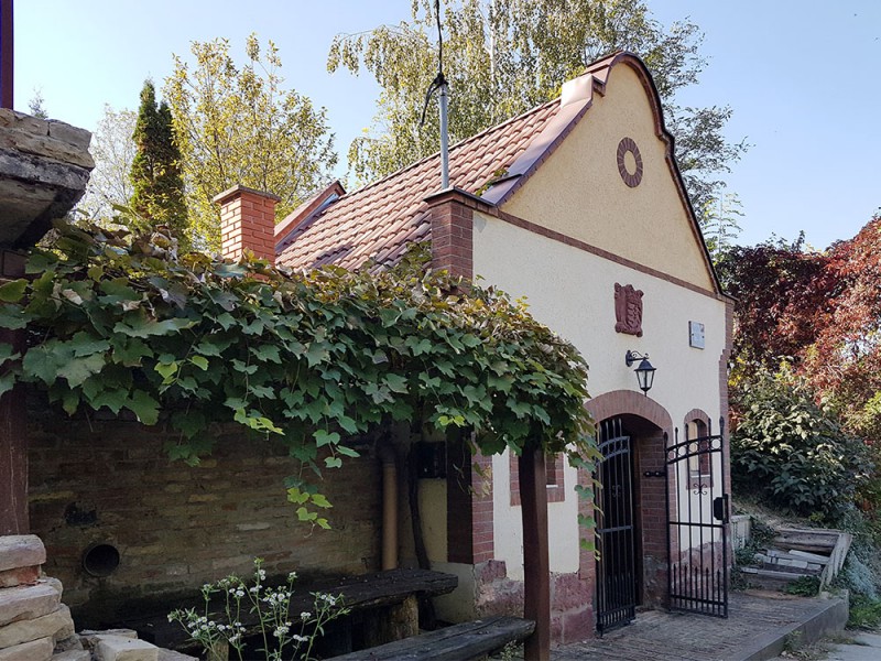 Ny&uacute;li k&eacute;pek