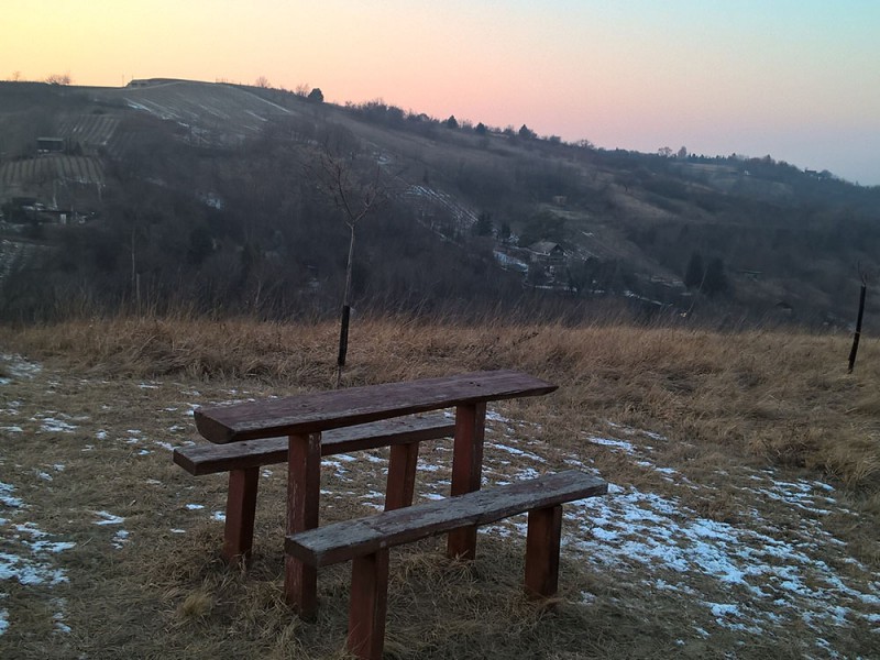 Ny&uacute;li k&eacute;pek