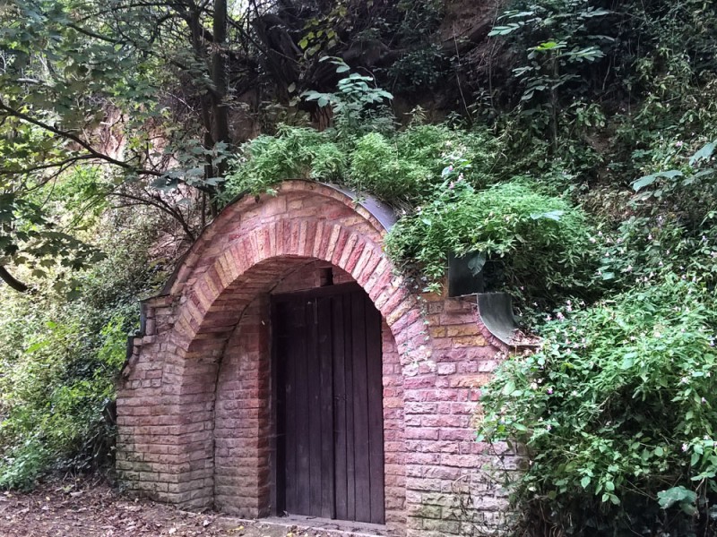 Ny&uacute;li t&uacute;ra