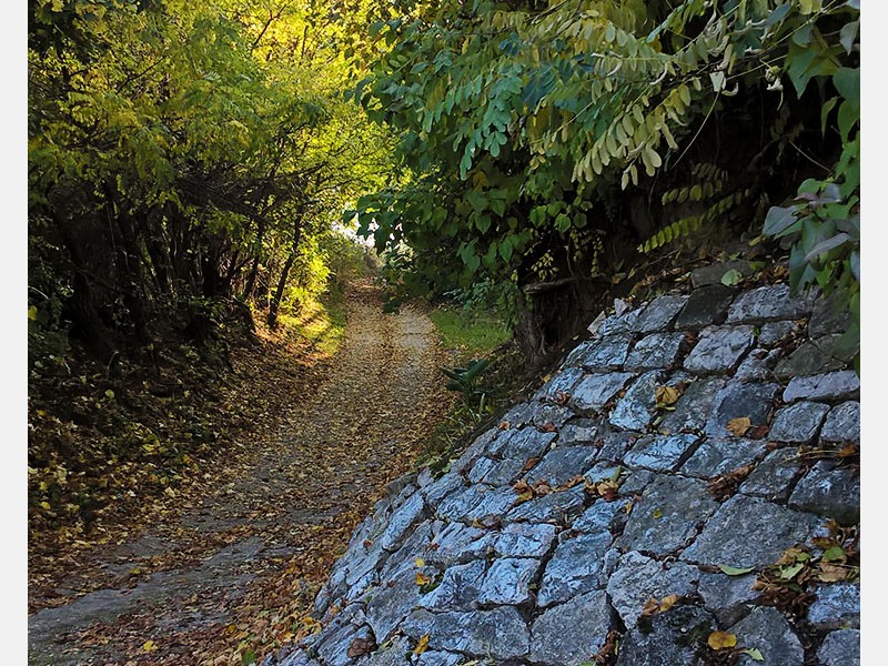 Ny&uacute;li t&uacute;ra