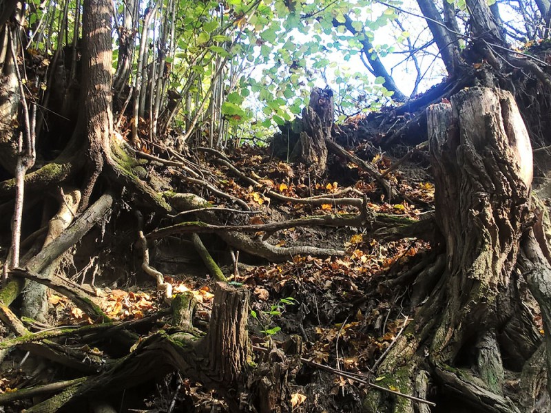 Ny&uacute;li t&uacute;ra