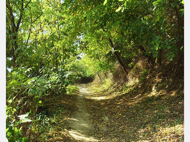 Ny&uacute;li t&uacute;ra