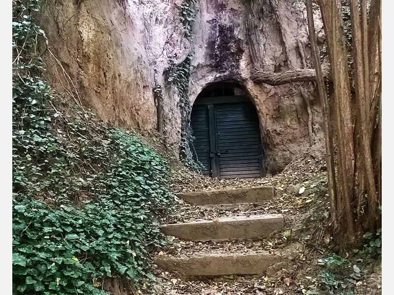 Ny&uacute;li t&uacute;ra