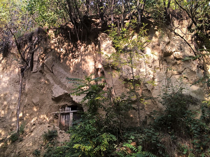 Ny&uacute;li t&uacute;ra