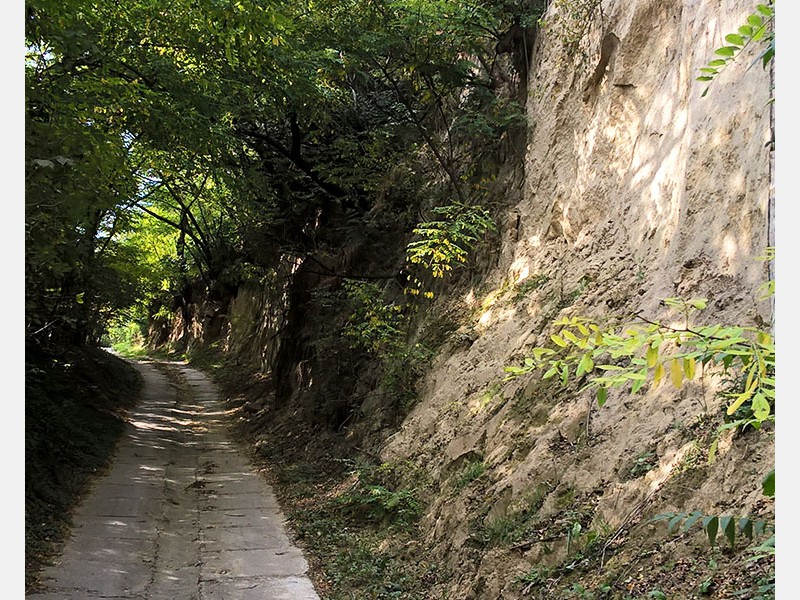 Ny&uacute;li t&uacute;ra