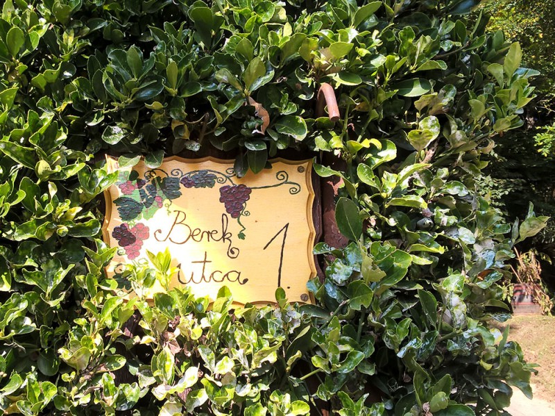 Ny&uacute;li t&uacute;ra