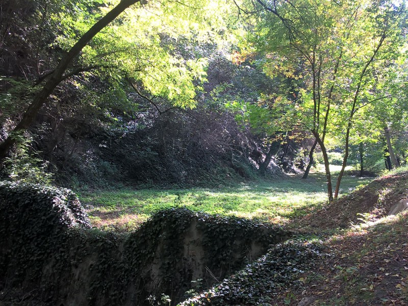 Ny&uacute;li t&uacute;ra