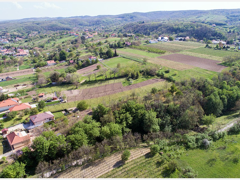 Szurdik dr&oacute;nfelv&eacute;telek