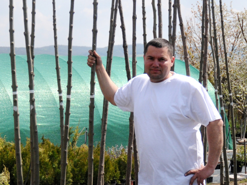 Hegedűs András