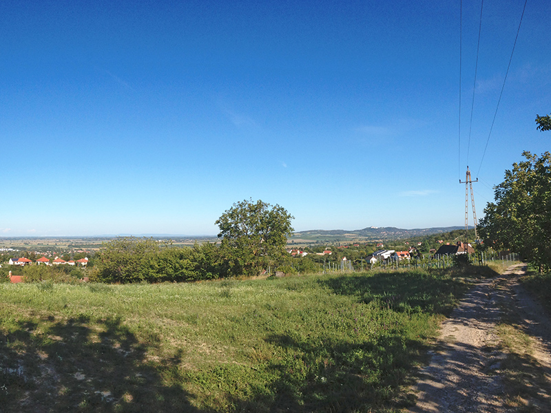 T&uacute;ra a ny&uacute;li "hegyekben" - Panor&aacute;ma a Torkos utc&aacute;r&oacute;l
