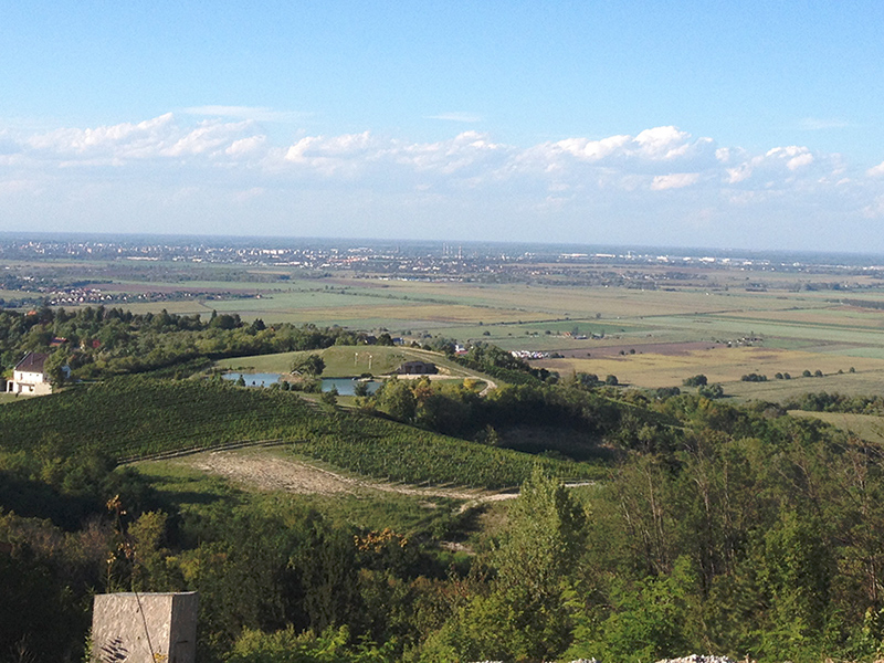 T&uacute;ra a ny&uacute;li "hegyekben" - Győr l&aacute;tk&eacute;pe a kil&aacute;t&oacute;hoz vezető &uacute;tr&oacute;l