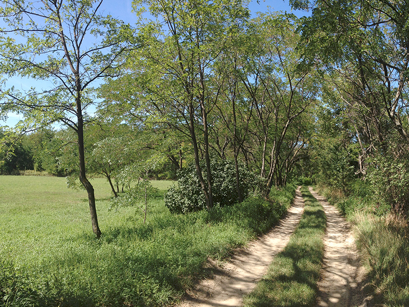 T&uacute;ra a ny&uacute;li "hegyekben" - 