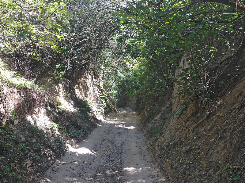 T&uacute;ra a ny&uacute;li "hegyekben" - 