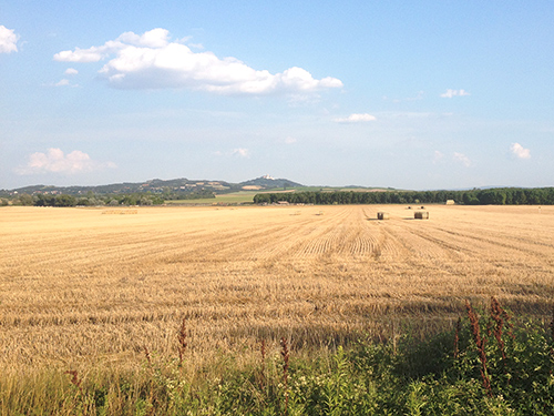 P&eacute;ri horg&aacute;sztavak - S&aacute;gi &uacute;t fel&eacute;