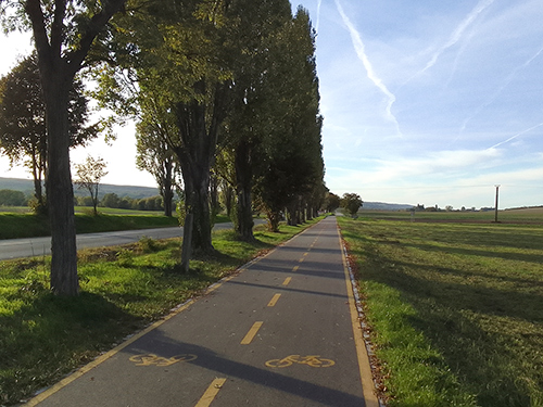 P&eacute;ri horg&aacute;sztavak - Ker&eacute;kp&aacute;r&uacute;t vissza Ny&uacute;lra