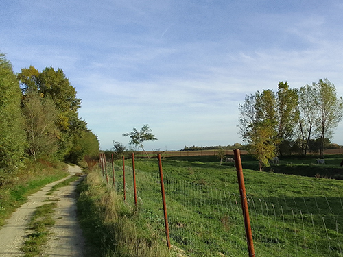 P&eacute;ri horg&aacute;sztavak - 