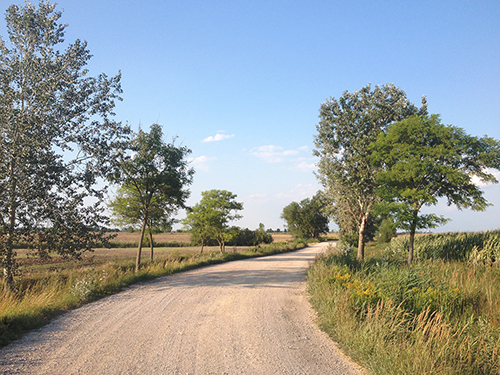 P&eacute;ri horg&aacute;sztavak - 