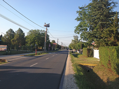 P&eacute;ri horg&aacute;sztavak - T&ouml;lt&eacute;stav&aacute;n g&oacute;ly&aacute;kkal