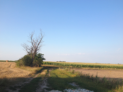 P&eacute;ri horg&aacute;sztavak - Enn&eacute;l a korhadt f&aacute;n&aacute;l forduljunk jobbra