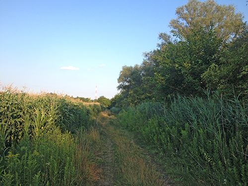 P&eacute;ri horg&aacute;sztavak - Az &uacute;t kalandosabb r&eacute;sze