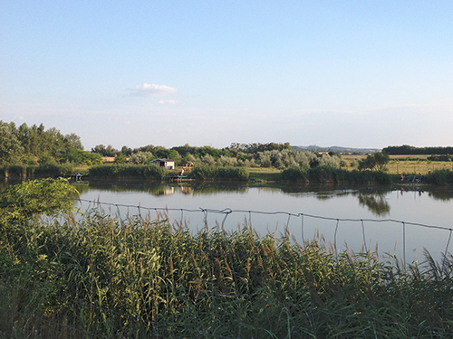 P&eacute;ri horg&aacute;sztavak - A p&eacute;ri horg&aacute;sztavak