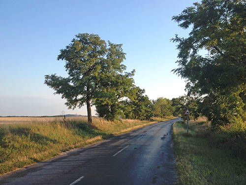 P&eacute;ri horg&aacute;sztavak - 