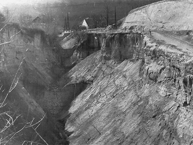 A S&aacute;rk&aacute;nylyuk v&iacute;zmos&aacute;srendszer v&iacute;zrendez&eacute;se