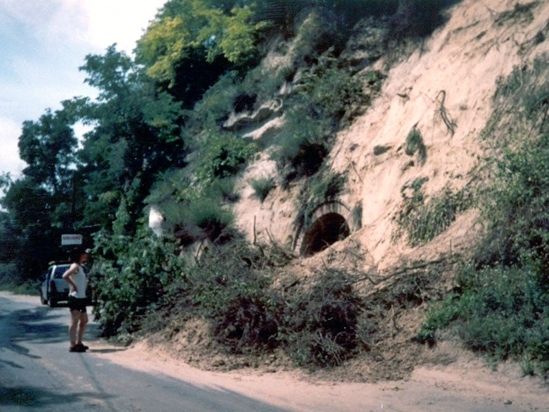 A S&aacute;rk&aacute;nylyuk v&iacute;zmos&aacute;srendszer v&iacute;zrendez&eacute;se