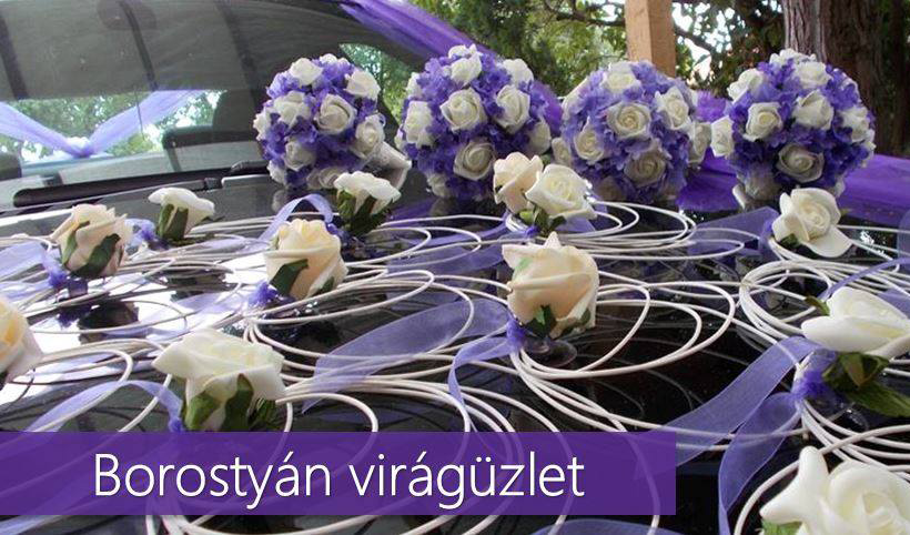 Borosty&aacute;n Vir&aacute;g&uuml;zlet